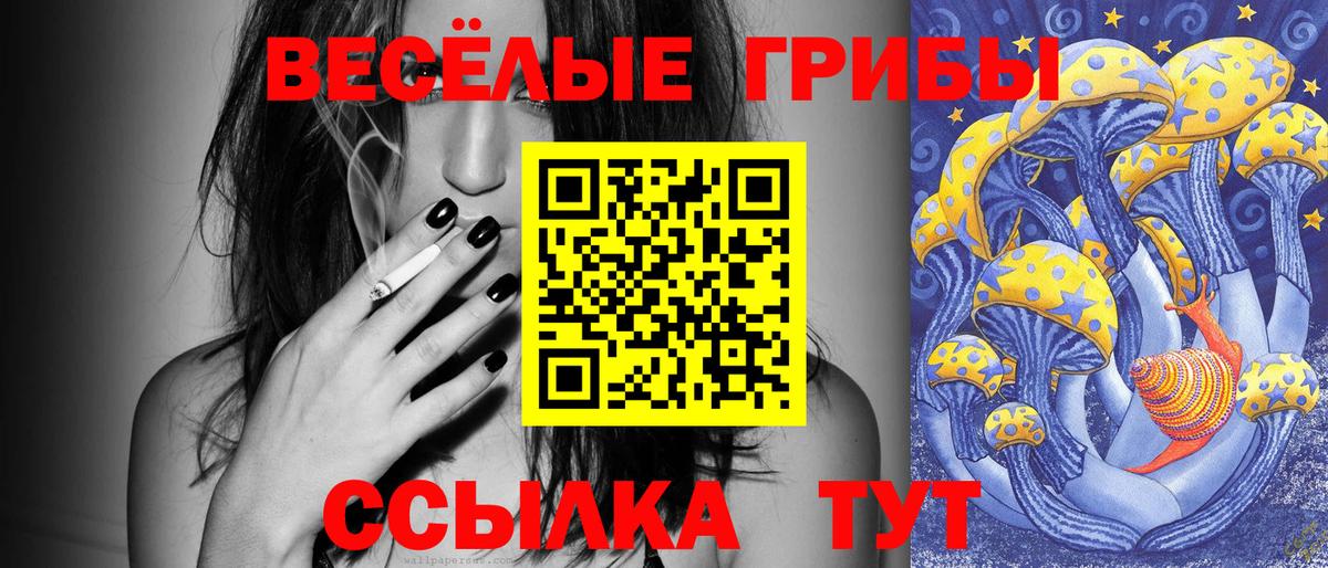 Галлюциногенные грибы GOLDEN TEACHER  Вход с VPN  Чистополь  Галлюциногенные грибы GOLDEN TEACHER 